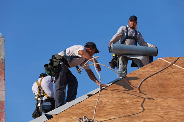 Best Roof Repair Specialists  in Magnolia, MS