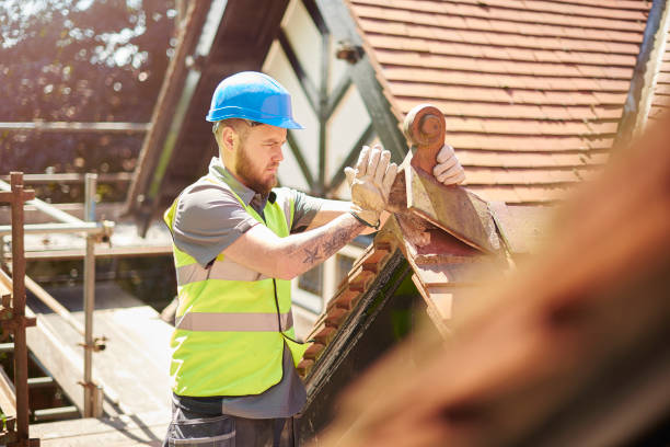 Best Roof Gutter Cleaning  in Magnolia, MS
